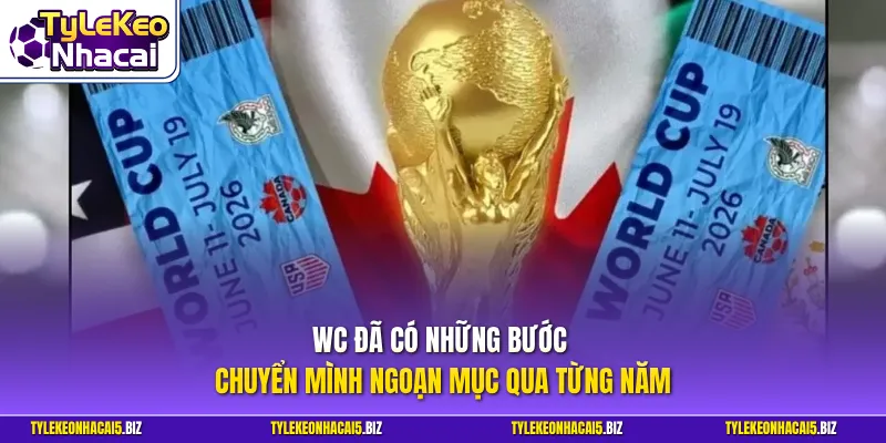 WC đã có những bước chuyển mình ngoạn mục qua từng năm